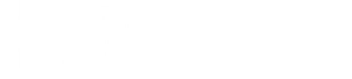 Blue Cross Blue Shield